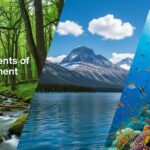पर्यावरण के घटक और महत्व (Components of Environment)