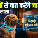 हैरान करने वाला खुलासा! अब इंसानों से बातें करेंगे जानवर, AI ने डिकोड की उनकी गुप्त भाषा - क्या आपका पालतू कुत्ता आपसे कुछ कहना चाहता है?