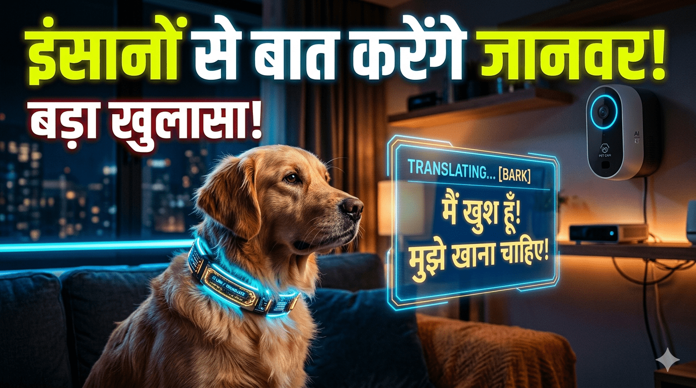 हैरान करने वाला खुलासा! अब इंसानों से बातें करेंगे जानवर, AI ने डिकोड की उनकी गुप्त भाषा - क्या आपका पालतू कुत्ता आपसे कुछ कहना चाहता है? 102 हैरान करने वाला खुलासा! अब इंसानों से बातें करेंगे जानवर, AI ने डिकोड की उनकी गुप्त भाषा - क्या आपका पालतू कुत्ता आपसे कुछ कहना चाहता है?